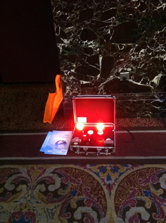 硅動力亮相海峽兩岸第二十一屆照明科技與營銷研討會(圖1) 硅動力亮相海峽兩岸第二十一屆照明科技與營銷研討會(圖1)